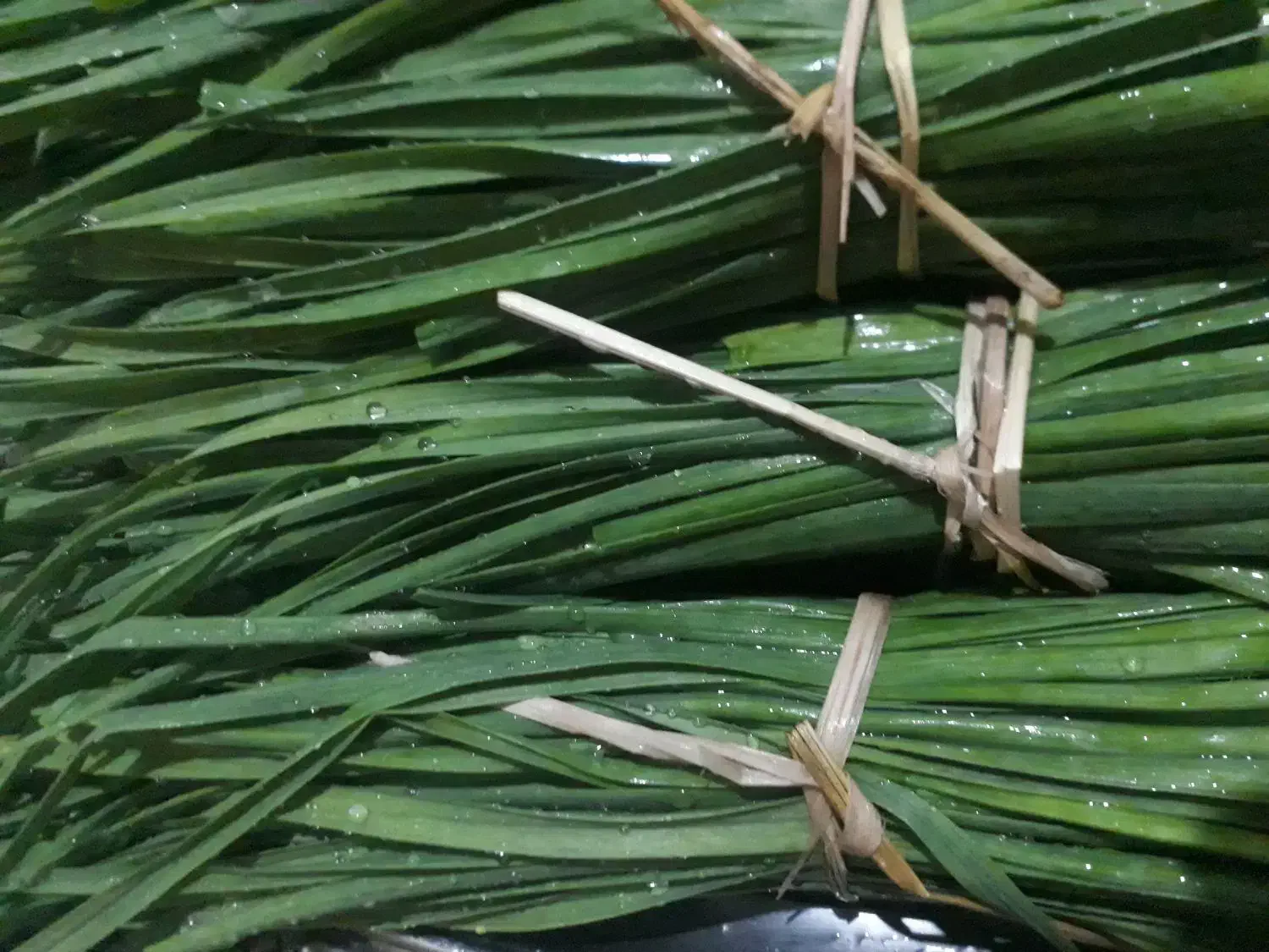 شاهی|خوردنی و آشامیدنی|لاهیجان, خمیر کلایه|دیوار