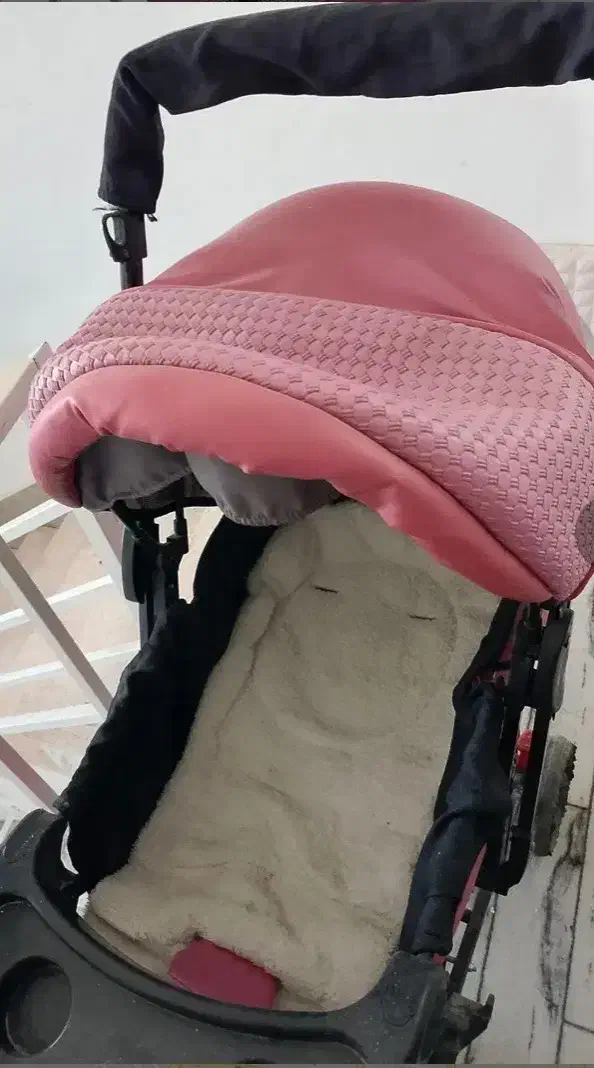 کالسکه|کالسکه و لوازم جانبی|باغستان, |دیوار