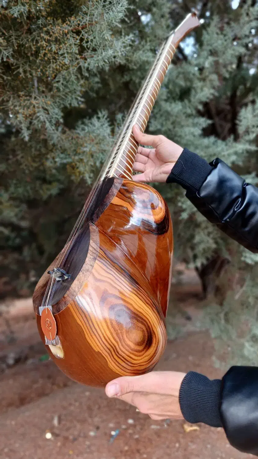 تارکارگاهی|سازهای سنتی|تهران, منیریه|دیوار