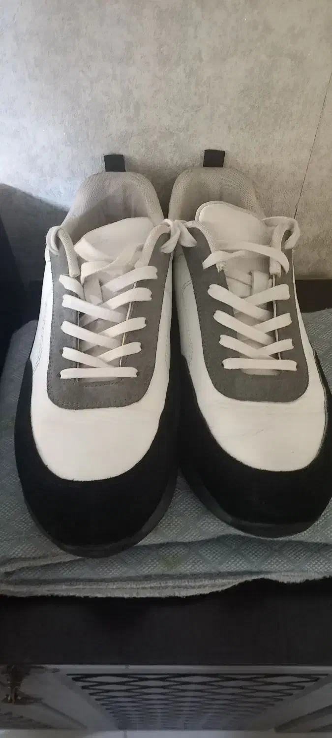 کتانی سایز۴۰|کیف، کفش، کمربند|پرند, فاز ۵|دیوار