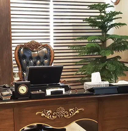 وکیل طلاق و مهریه|خدمات مالی، حسابداری، بیمه|تهران, دروس|دیوار