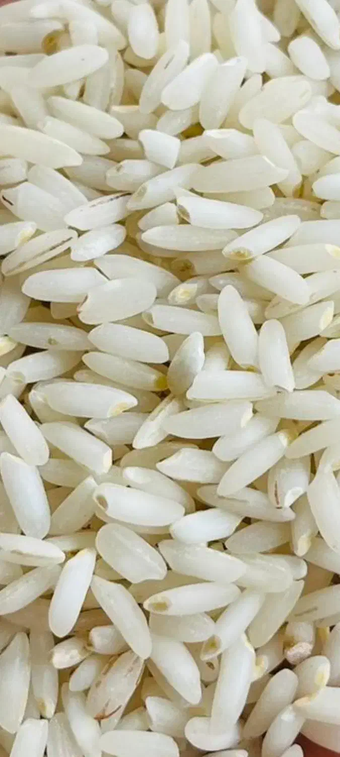 برنج وحبوبات|خوردنی و آشامیدنی|دهلران, |دیوار