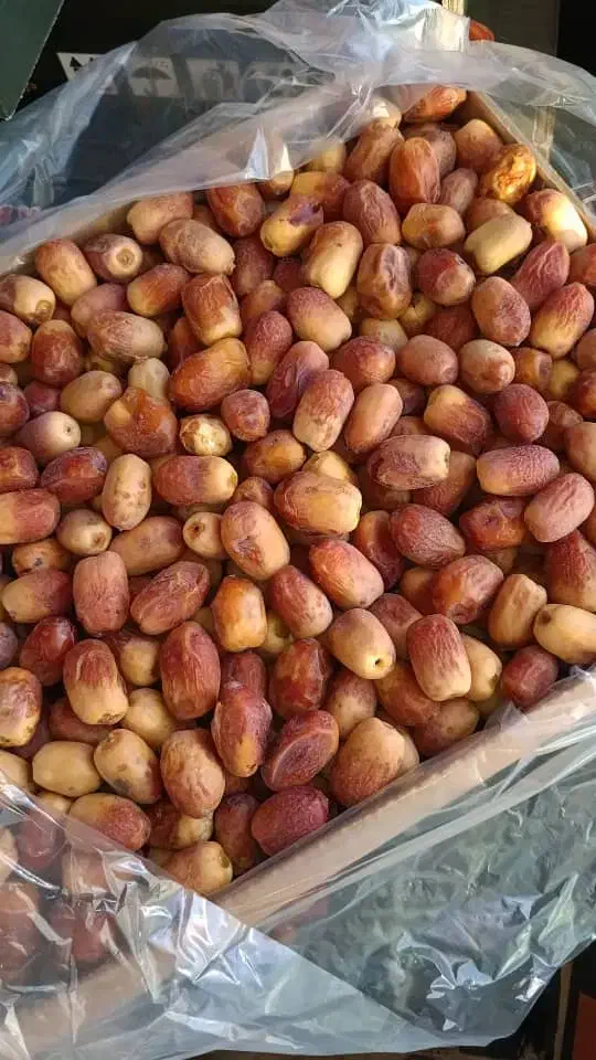 خرمای زاهدی|عمده‌فروشی|قم, سالاریه|دیوار