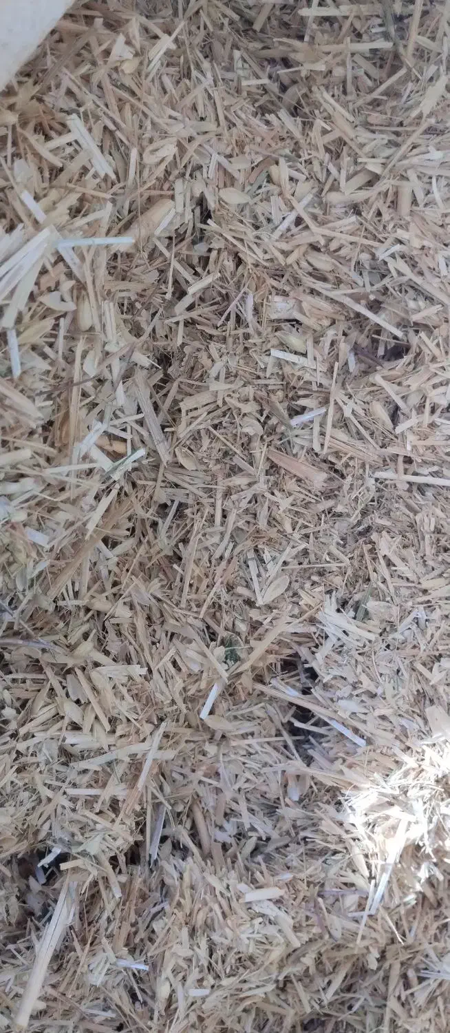 کاه|لوازم جانبی حیوانات|سبزوار, قصبه شرقی|دیوار