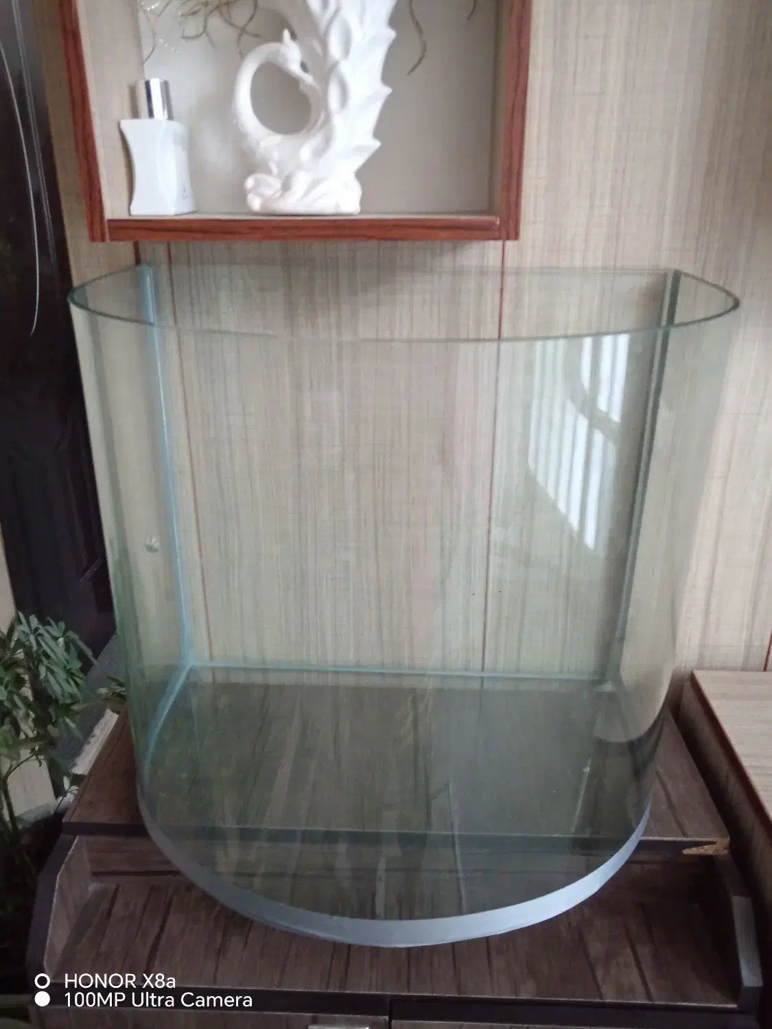 آکواریوم نیم دایره|ماهی|کازرون, |دیوار