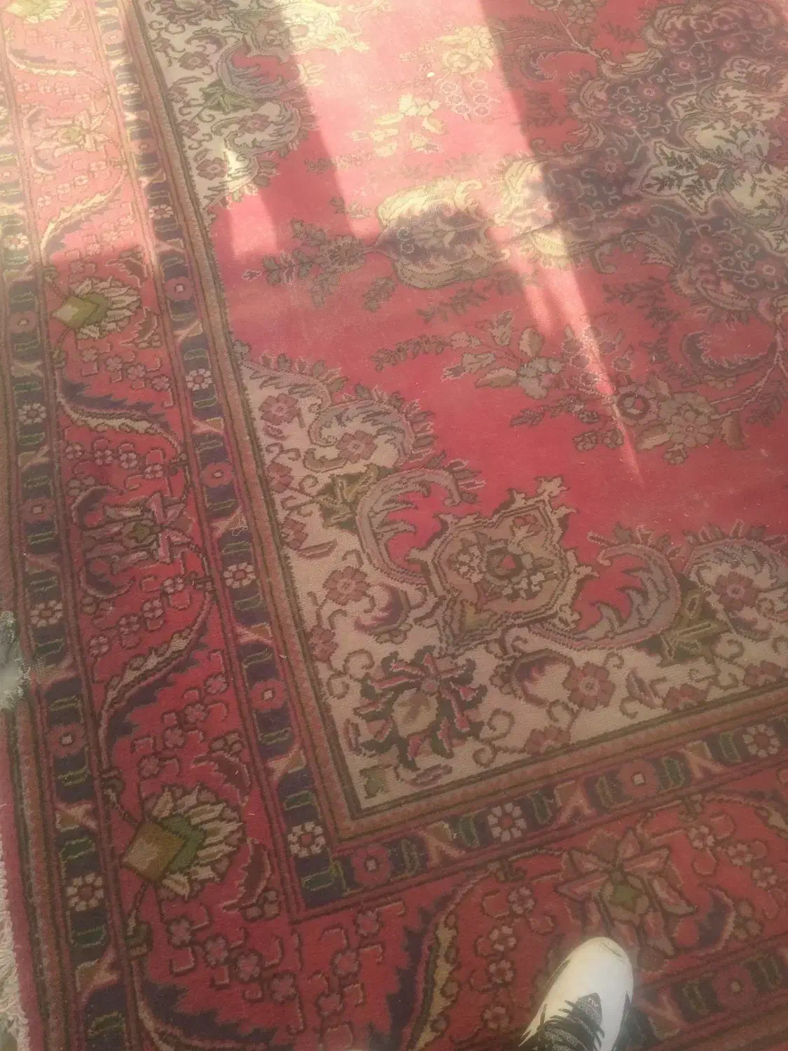 فرش دستباف شش متری|فرش|نسیم‌شهر, |دیوار