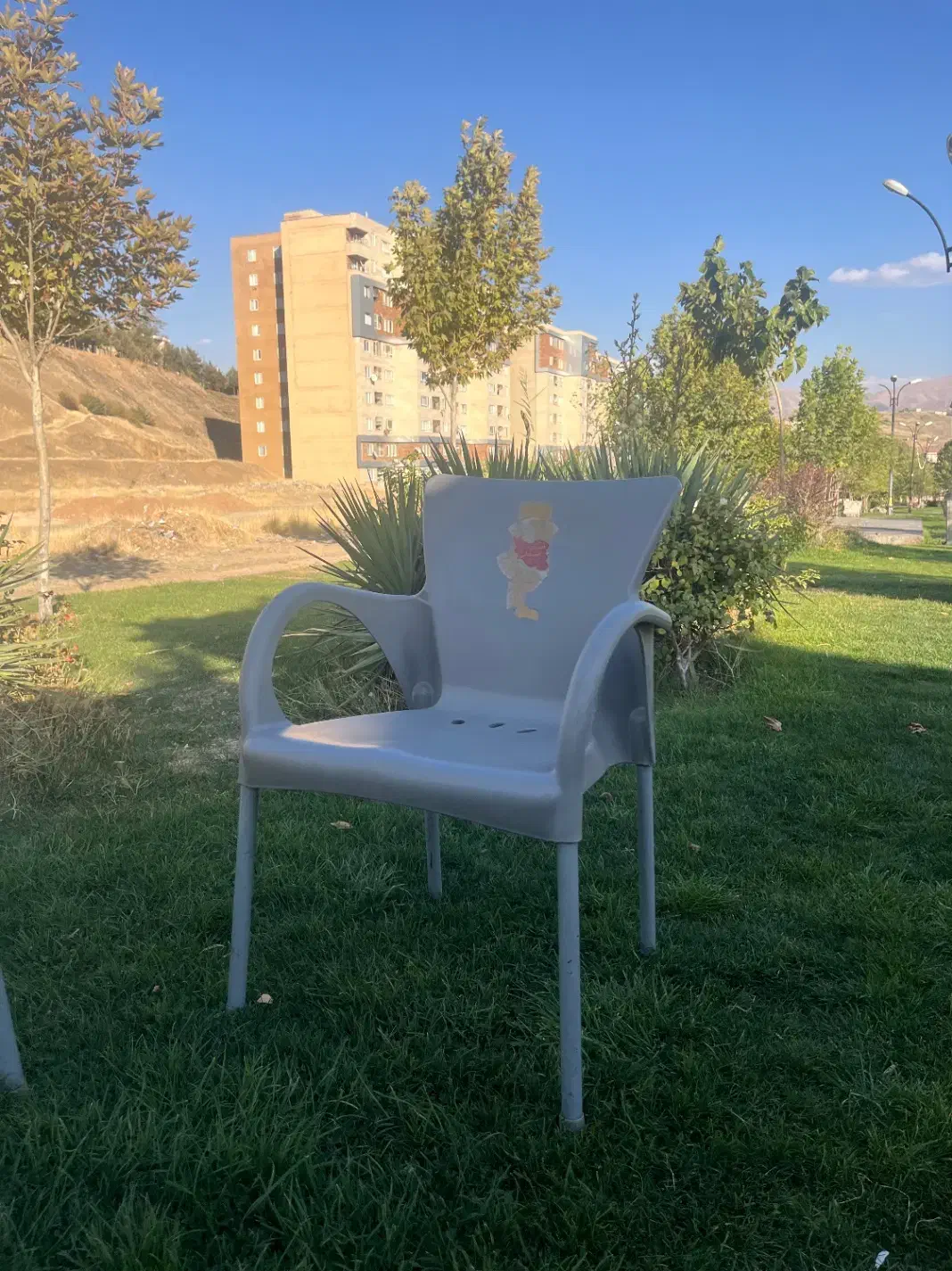 صندلی مطبی نو نو|دفتر کار|سنندج, |دیوار