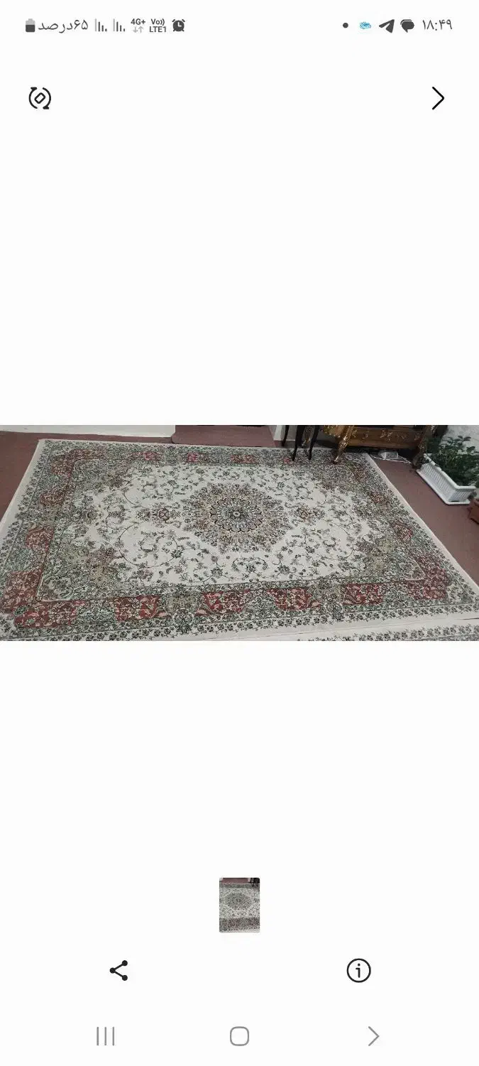 ۲ تخته فرش سالم و تمیز|فرش|ماکو, |دیوار