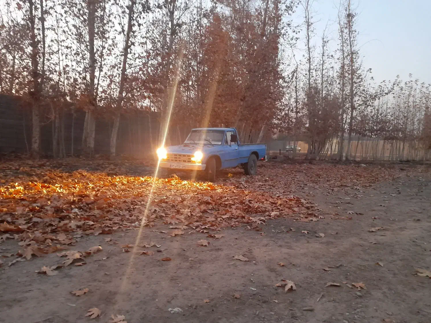 فروش نیسان مدل ۸۱|خودرو سواری و وانت|خمینیشهر, |دیوار