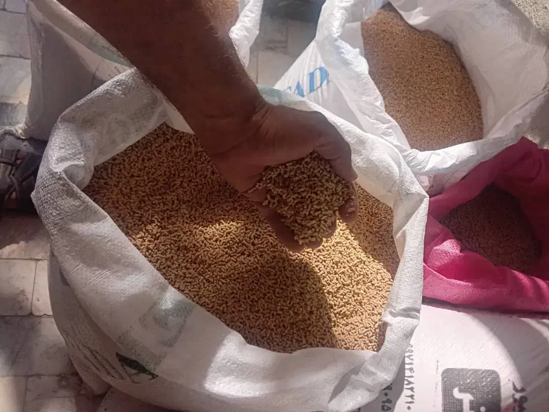 خرید وفروش دان پارس و  گندم|لوازم جانبی حیوانات|گرگان, |دیوار