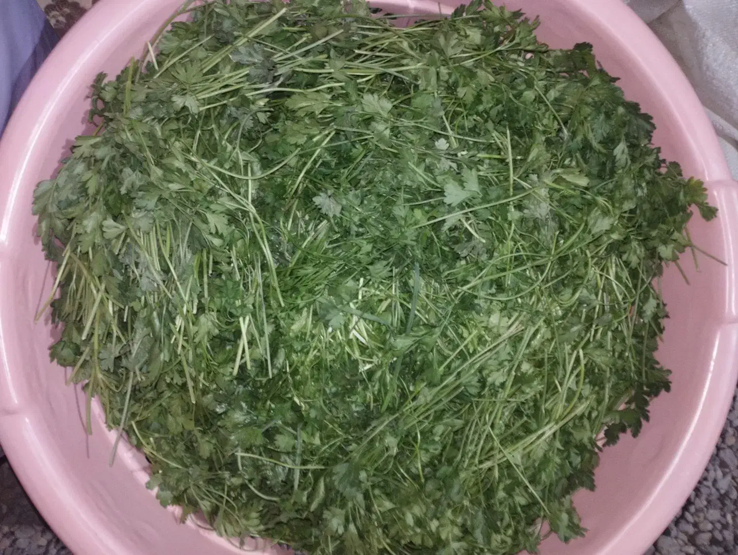 سبزی خورشی تازمحلی|خوردنی و آشامیدنی|خاش, |دیوار