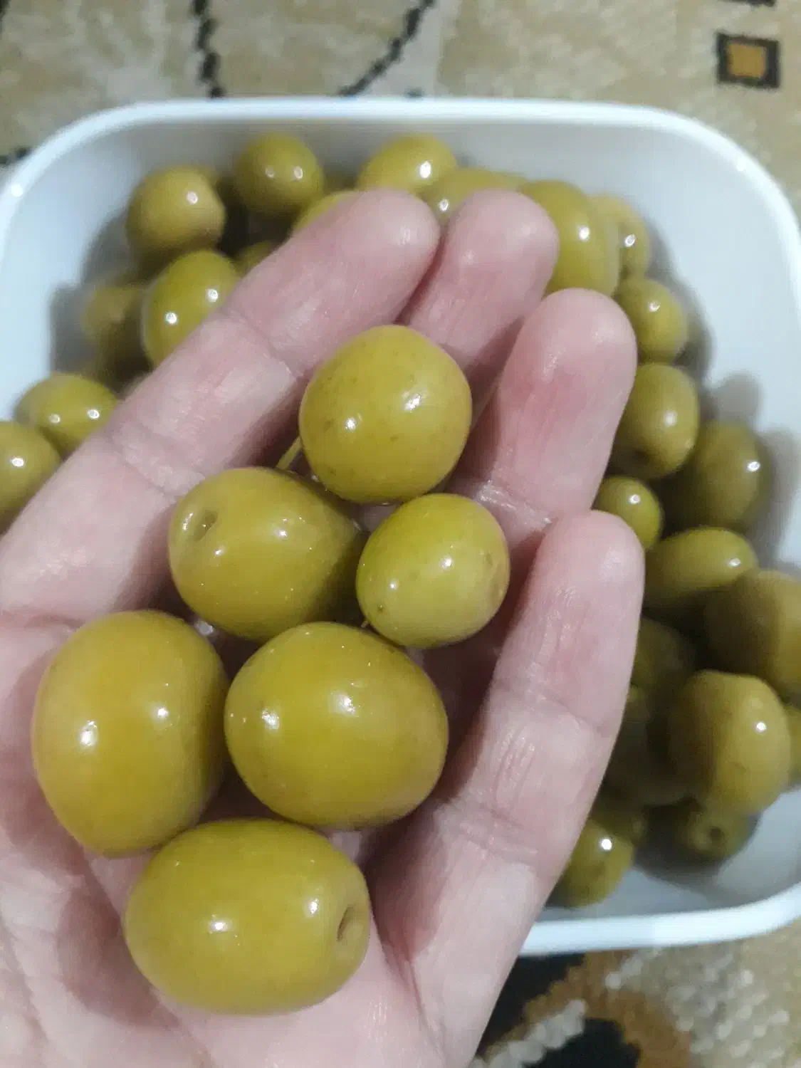 زیتون شور|خوردنی و آشامیدنی|علی‌آباد کتول, |دیوار