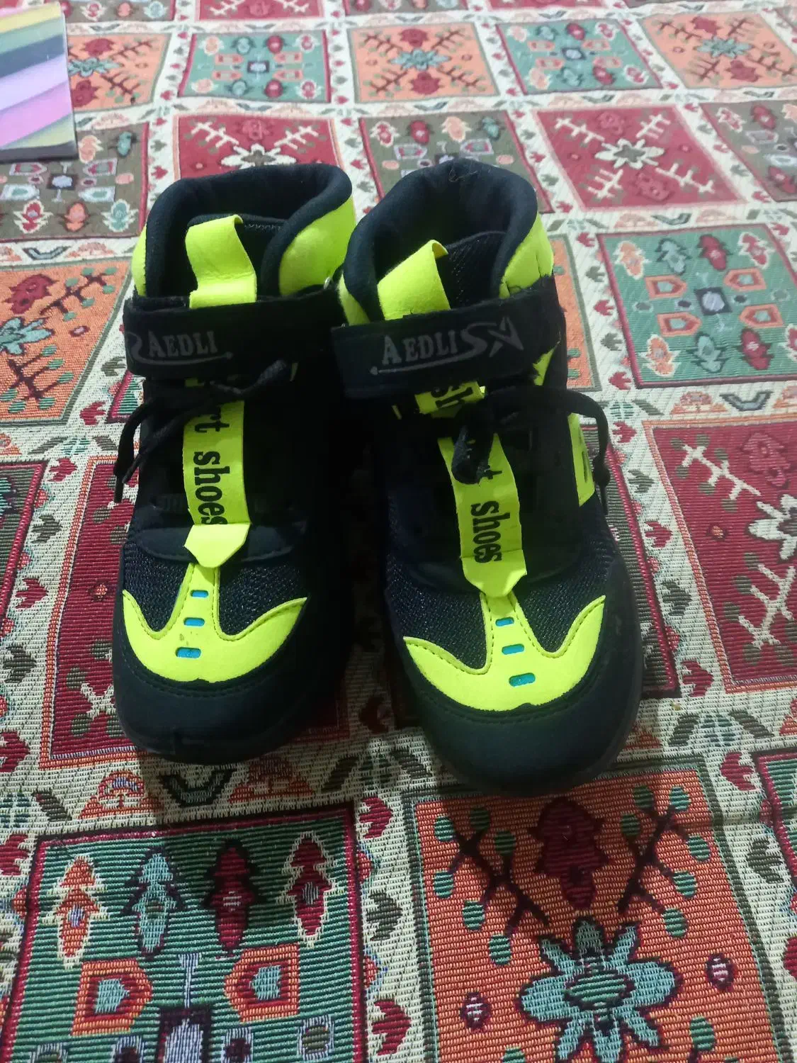 کفش نو|کیف، کفش، کمربند|فیرورق, |دیوار