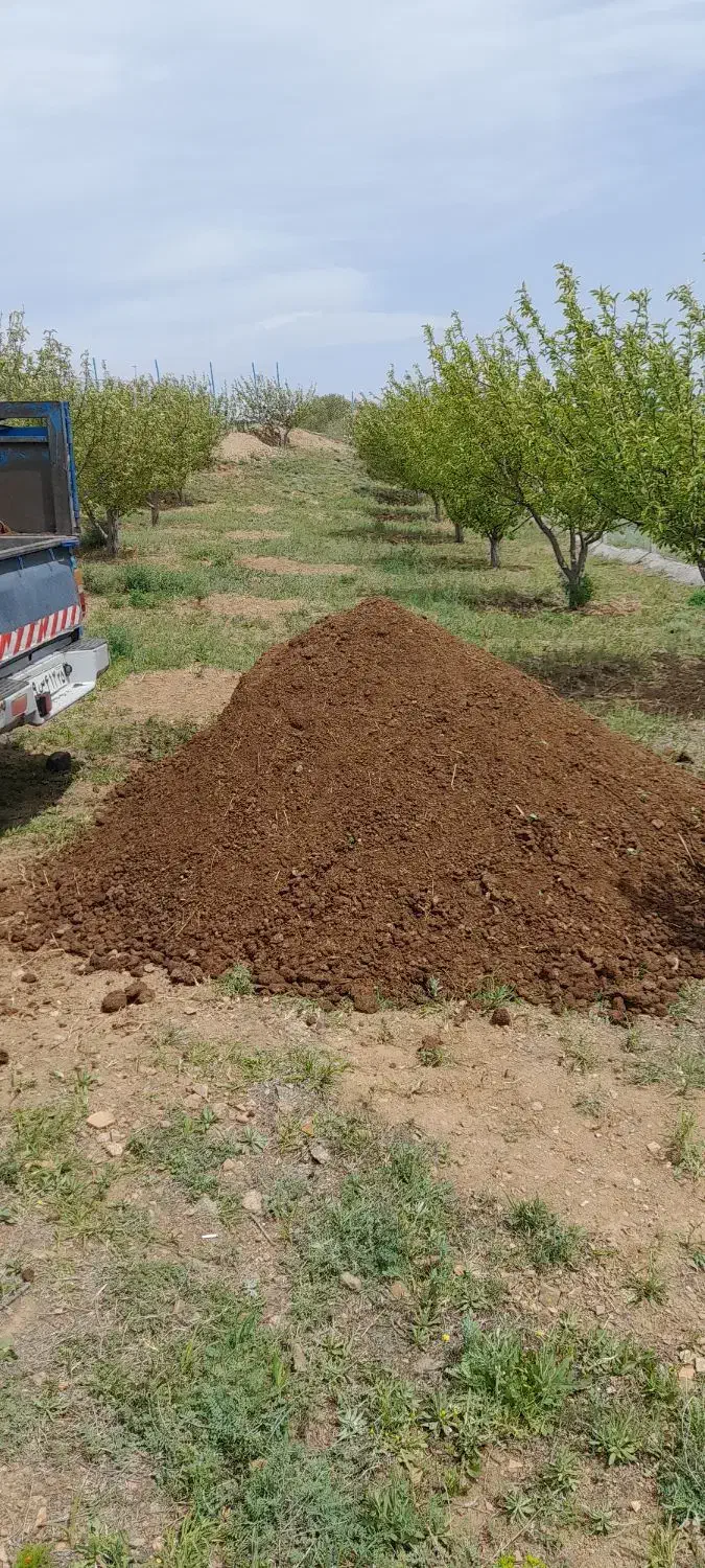 کود‌ حیوانی‌ پین گوسفند|خدمات باغبانی و درختکاری|فندقلو, |دیوار