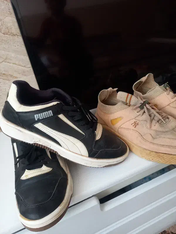 دوجفت کفش سایز42و43|کیف، کفش، کمربند|نیشابور, گنبد سبز|دیوار