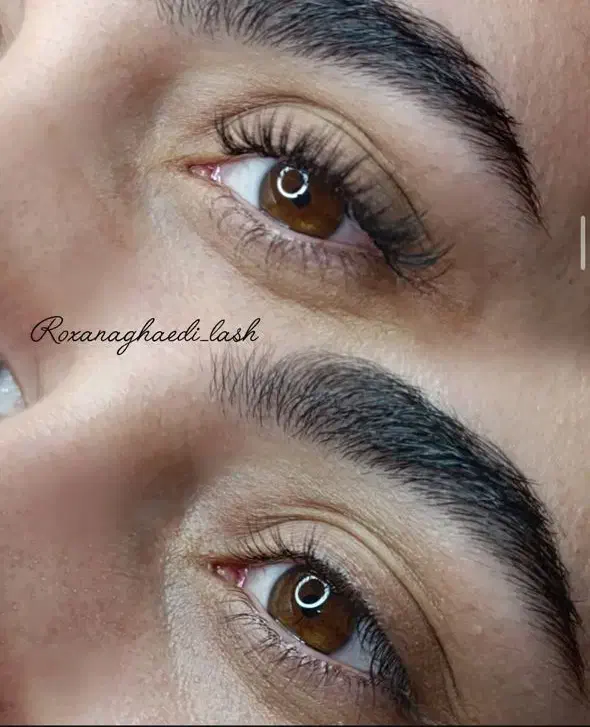 خدمات اکستنشن مژه و لیفت و لمینت مژه و ابرو|خدمات آرایشگری و زیبایی|شیراز, شهرک والفجر|دیوار