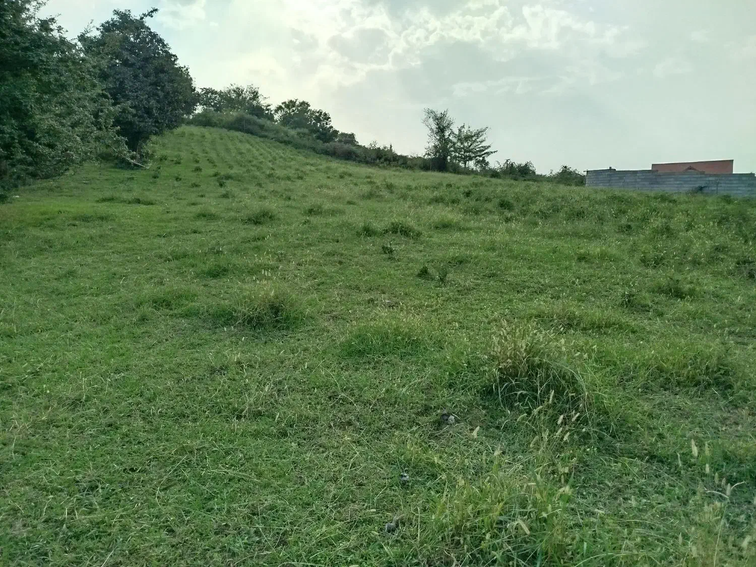 پیش فروش ویلا باغ در  زمین ۲۵۰ متر کوهپایه لاهیجان|پیش‌فروش املاک|لاهیجان, آهندان|دیوار