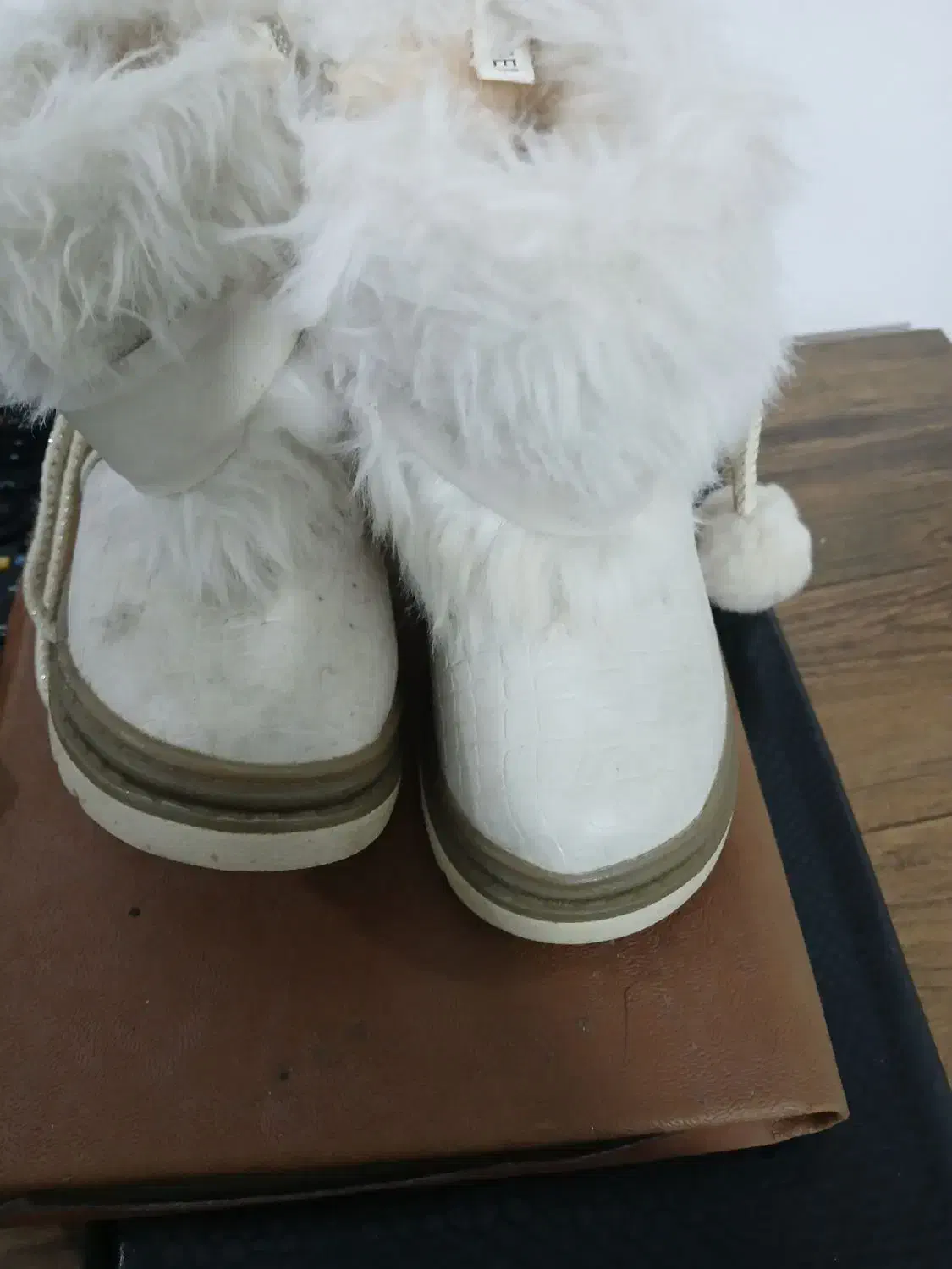 کفش‌زمستانی‌بچگانه‌شماره۲۱|کیف، کفش، کمربند|ارشق, |دیوار