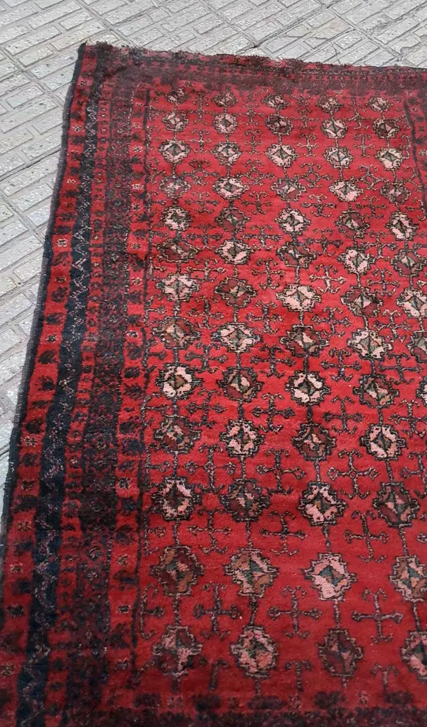 قالیچه ۲ متری دست باف ۱۰ ساله پر پشم|فرش|تربت جام, میان جام|دیوار