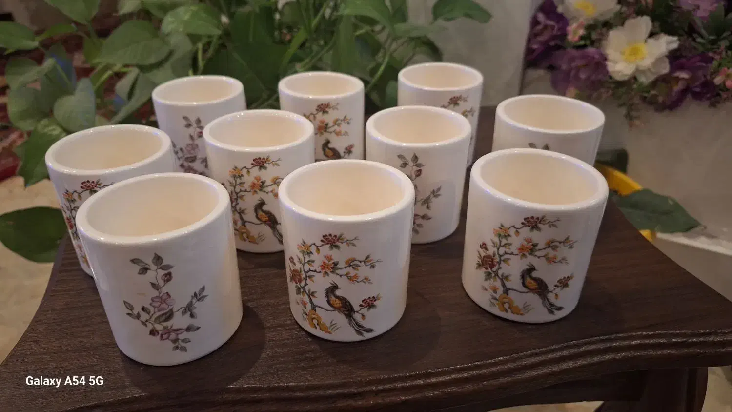 ظروف سرامیک|ظروف سرو و پذیرایی|قشم, |دیوار