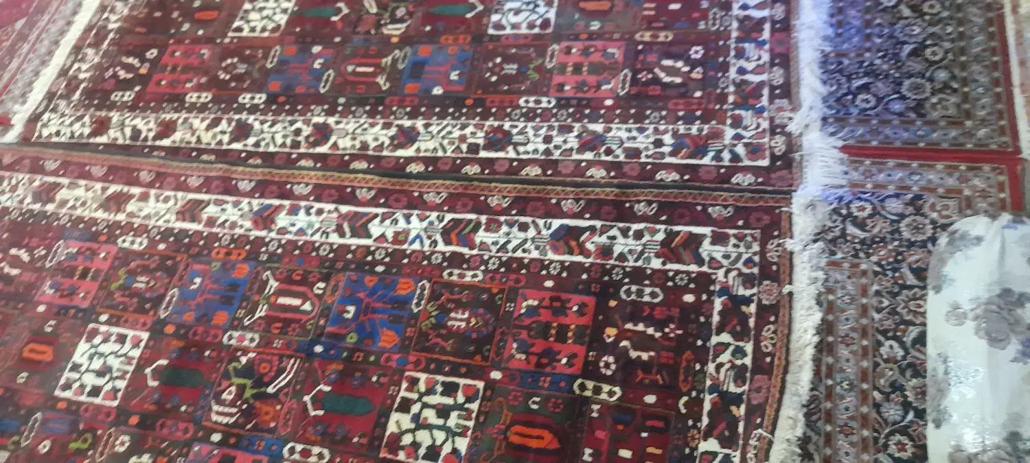 فرش دست باف بلداجی درحد نونو|فرش|شهرکرد, |دیوار
