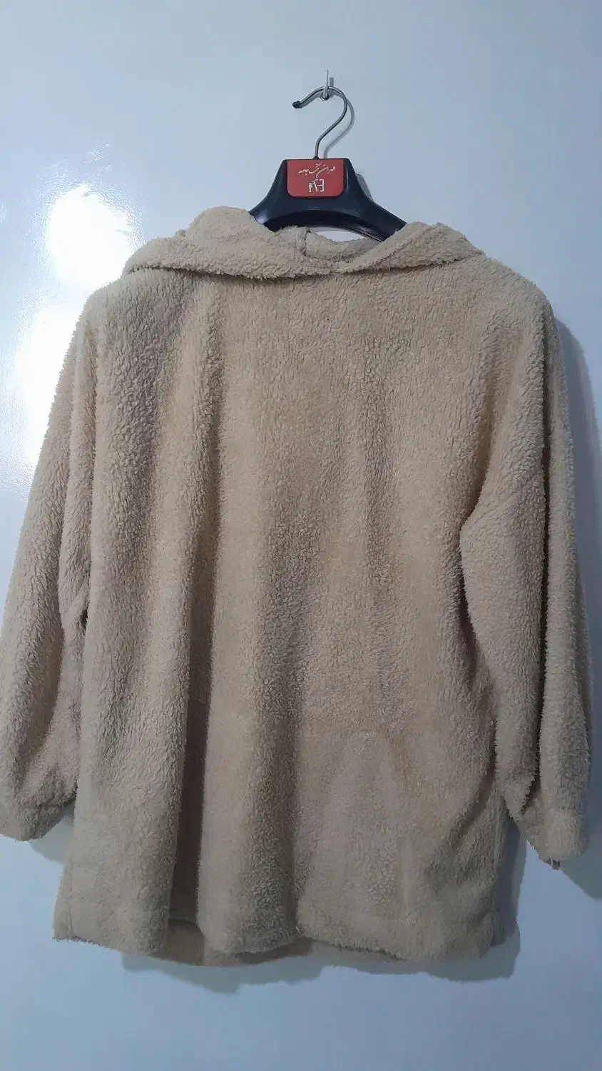 هودی تدی|لباس|سمنان, |دیوار