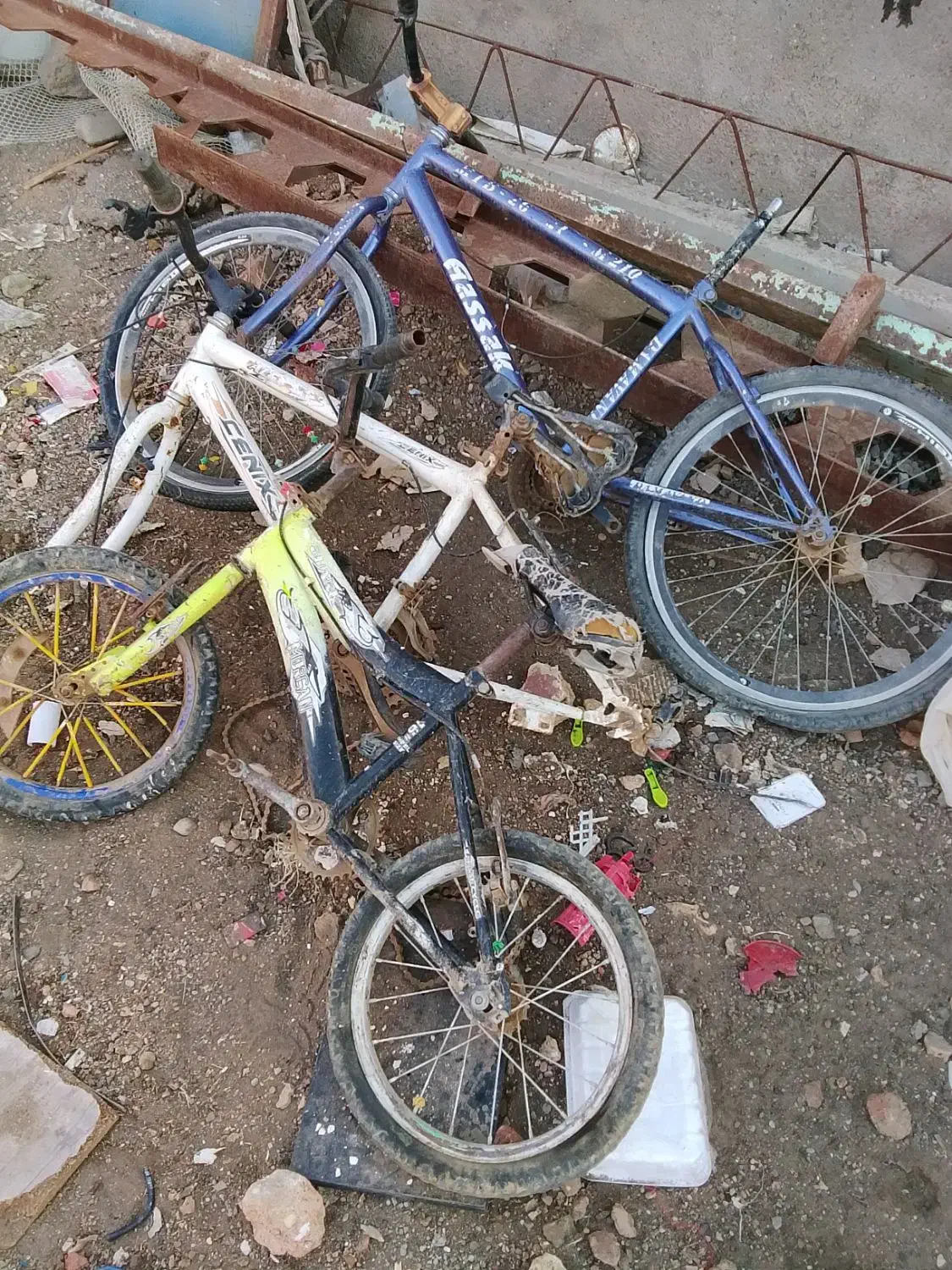 دوچرخه24|دوچرخه، اسکیت، اسکوتر|بستان آباد, |دیوار