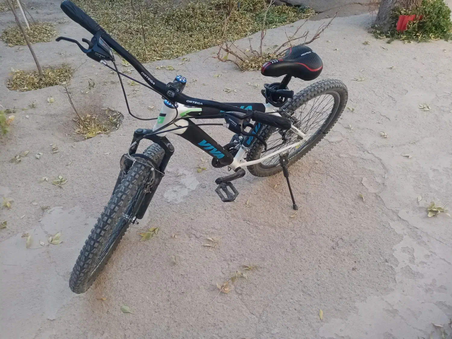 دوچرخه ۲۶|دوچرخه، اسکیت، اسکوتر|کبودرآهنگ, |دیوار