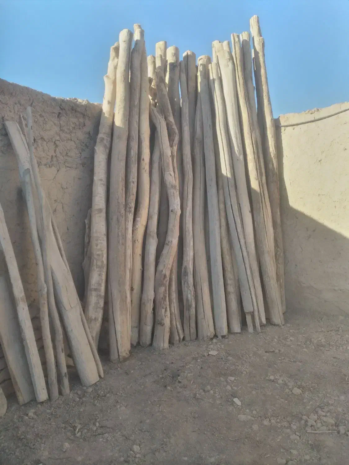 خریدار چوب خشک و تر و ذغالی و تخریب|خدمات باغبانی و درختکاری|بیجار, |دیوار