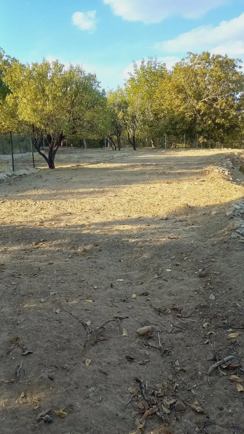 زمین باغ بر جاده|فروش زمین و ملک کلنگی|برزک, |دیوار