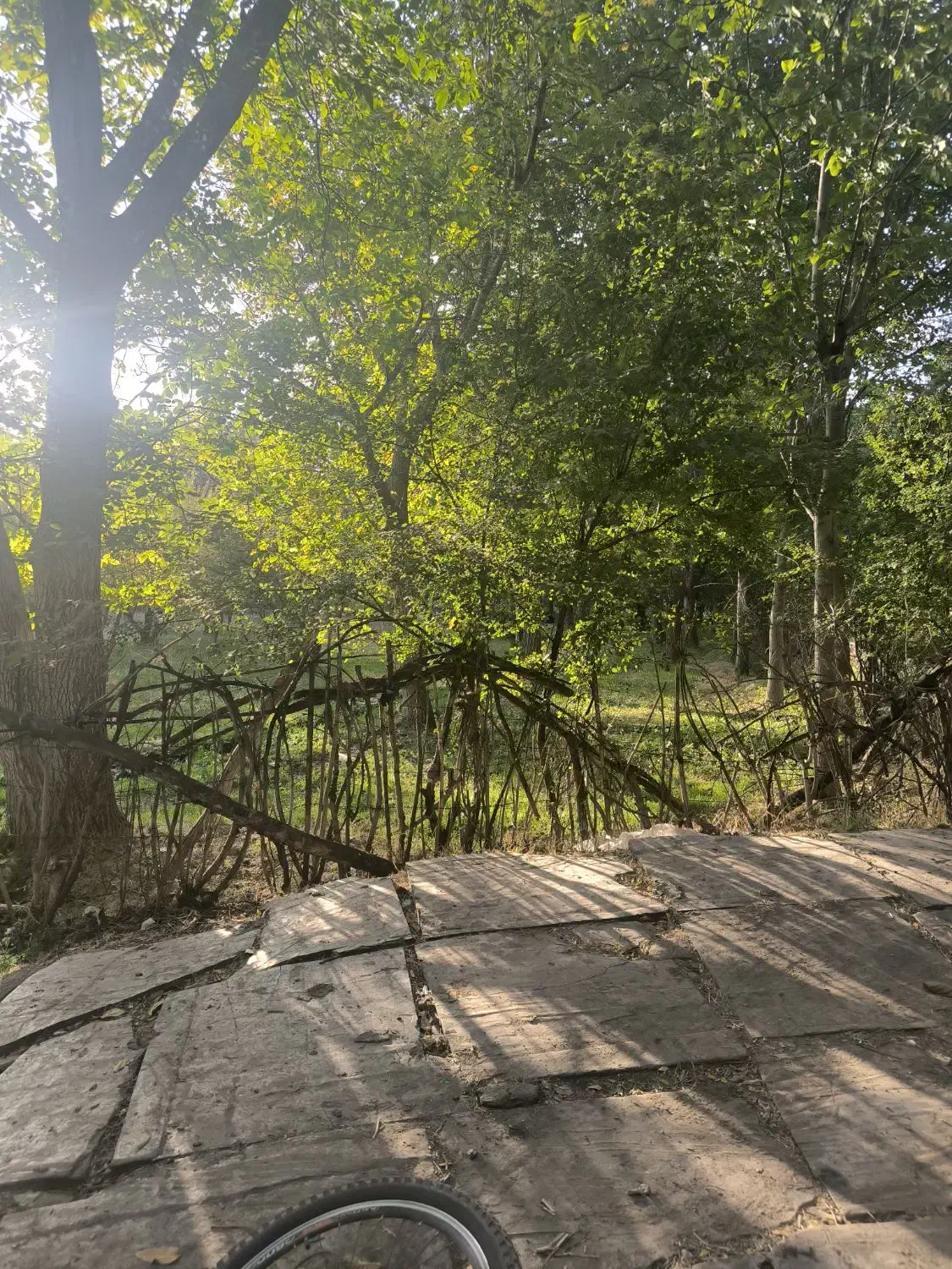 باغ با انواع میوه|فروش دفتر صنعتی، کشاورزی، تجاری|نهاوند, |دیوار