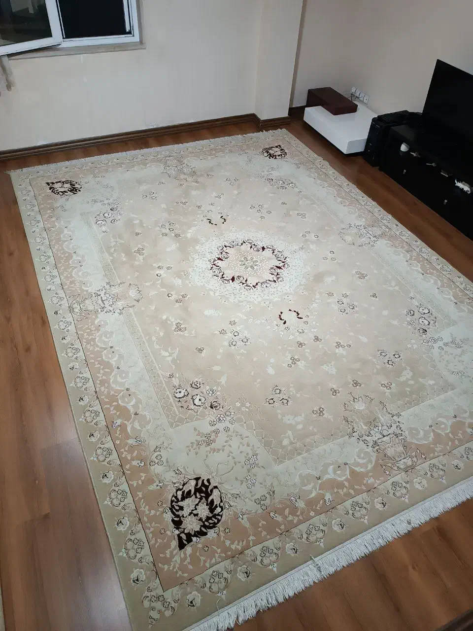 یک جفت فرش ۱۲ متری ساوین|فرش|رشت, سعدی (تختی)|دیوار