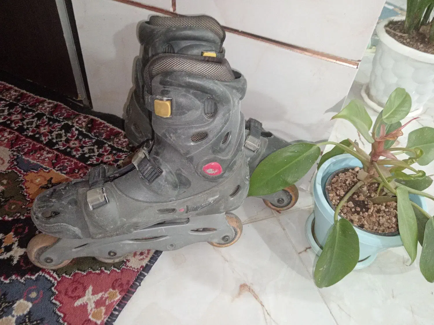 اسکیت کفشی سایز بزرگ|دوچرخه، اسکیت، اسکوتر|اصفهان, شهرک میلاد|دیوار