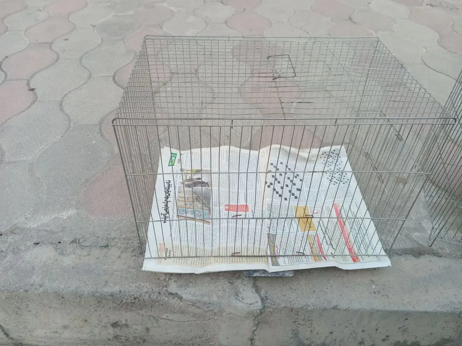 قفس متوسط و بزرگ ۲ عدد|لوازم جانبی حیوانات|گرگان, |دیوار