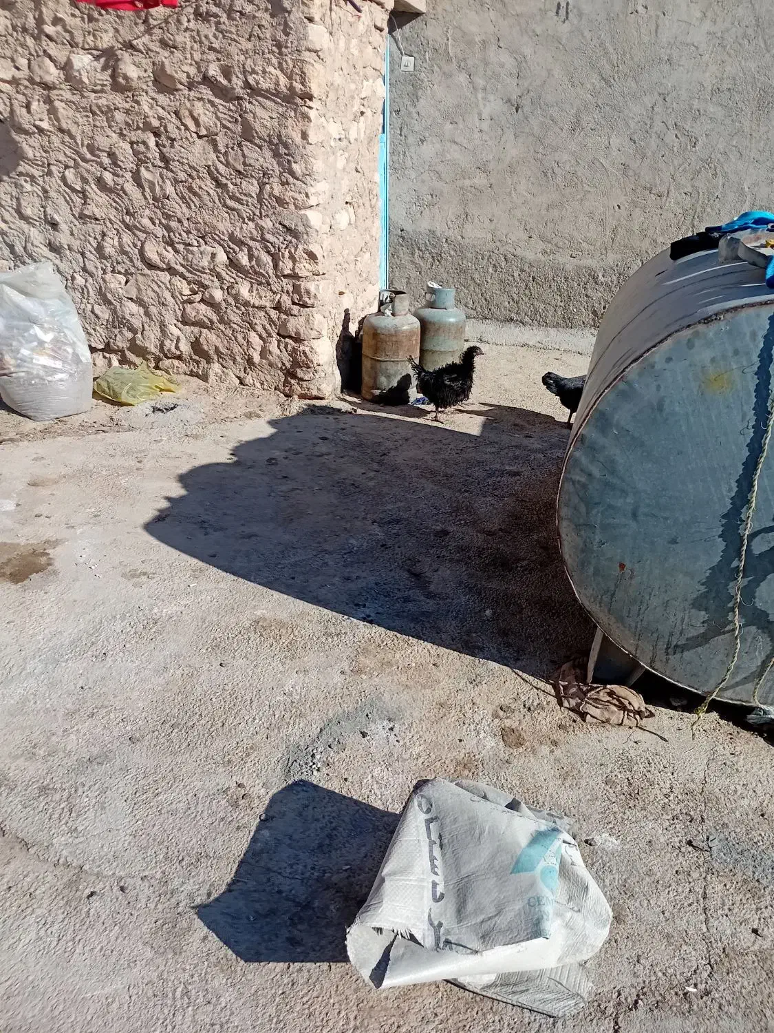 ۲۰ عدد|حیوانات مزرعه|افشار, |دیوار