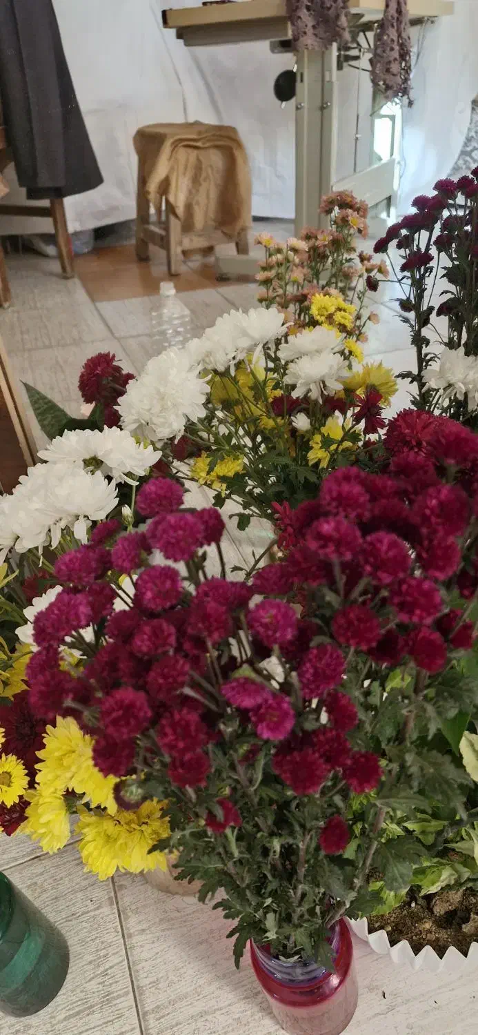 فروش مغازه|فروش مغازه و غرفه|تویسرکان, |دیوار