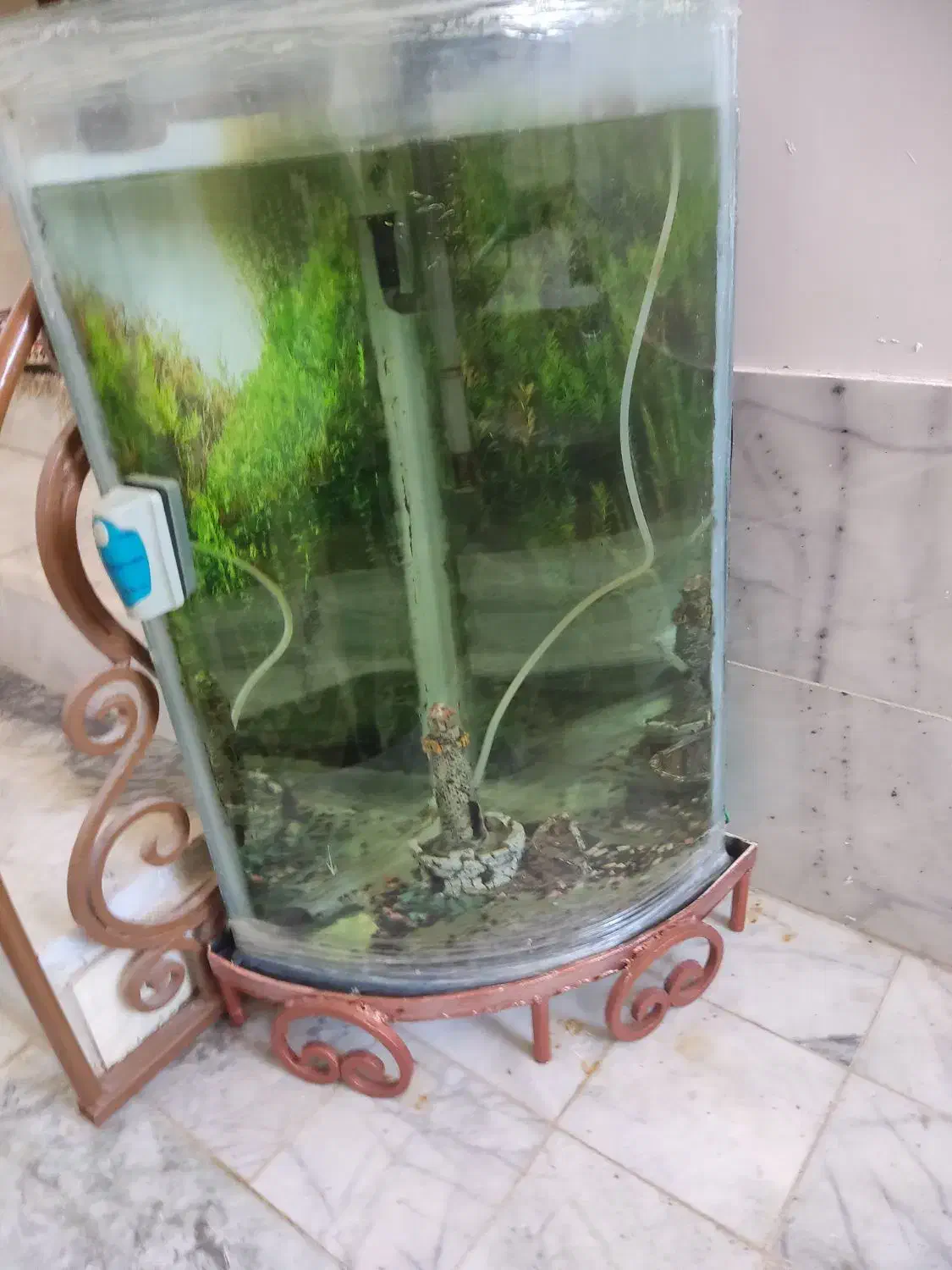 فروش و معاوضه آکواریم شیشه خم|ماهی|اصفهان, ملک‌شهر|دیوار