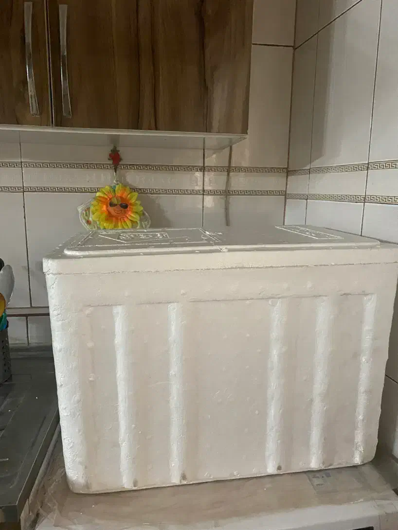 یخدون|ظروف نگهدارنده، پلاستیکی، یک‌بارمصرف|تهران, آذربایجان|دیوار