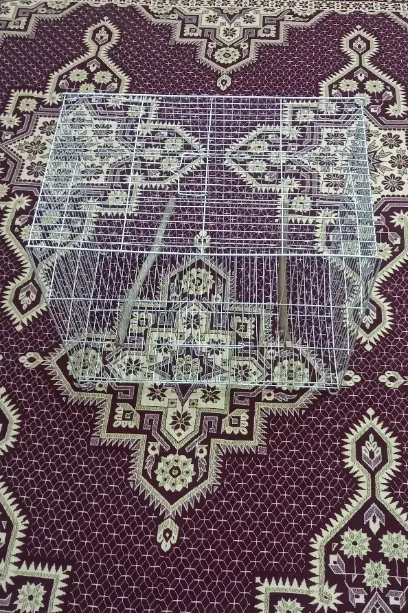 قفس ۵۰ در ۳۰ و آغل و لانه پرنده و سرلاک|لوازم جانبی حیوانات|مشهد, نیزه|دیوار