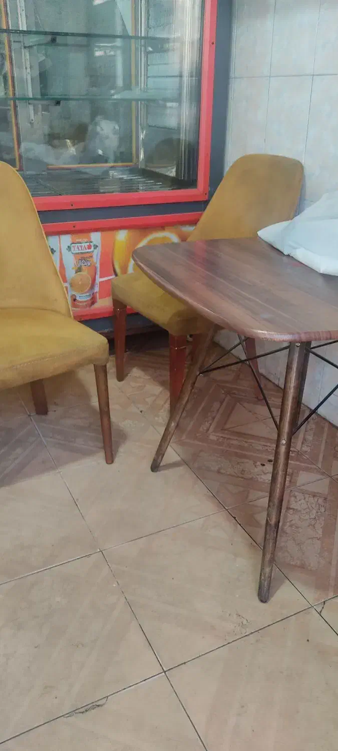 ۴عددصندلی واعدد میز ۴ نفره|میز و صندلی غذاخوری|تبریز, |دیوار