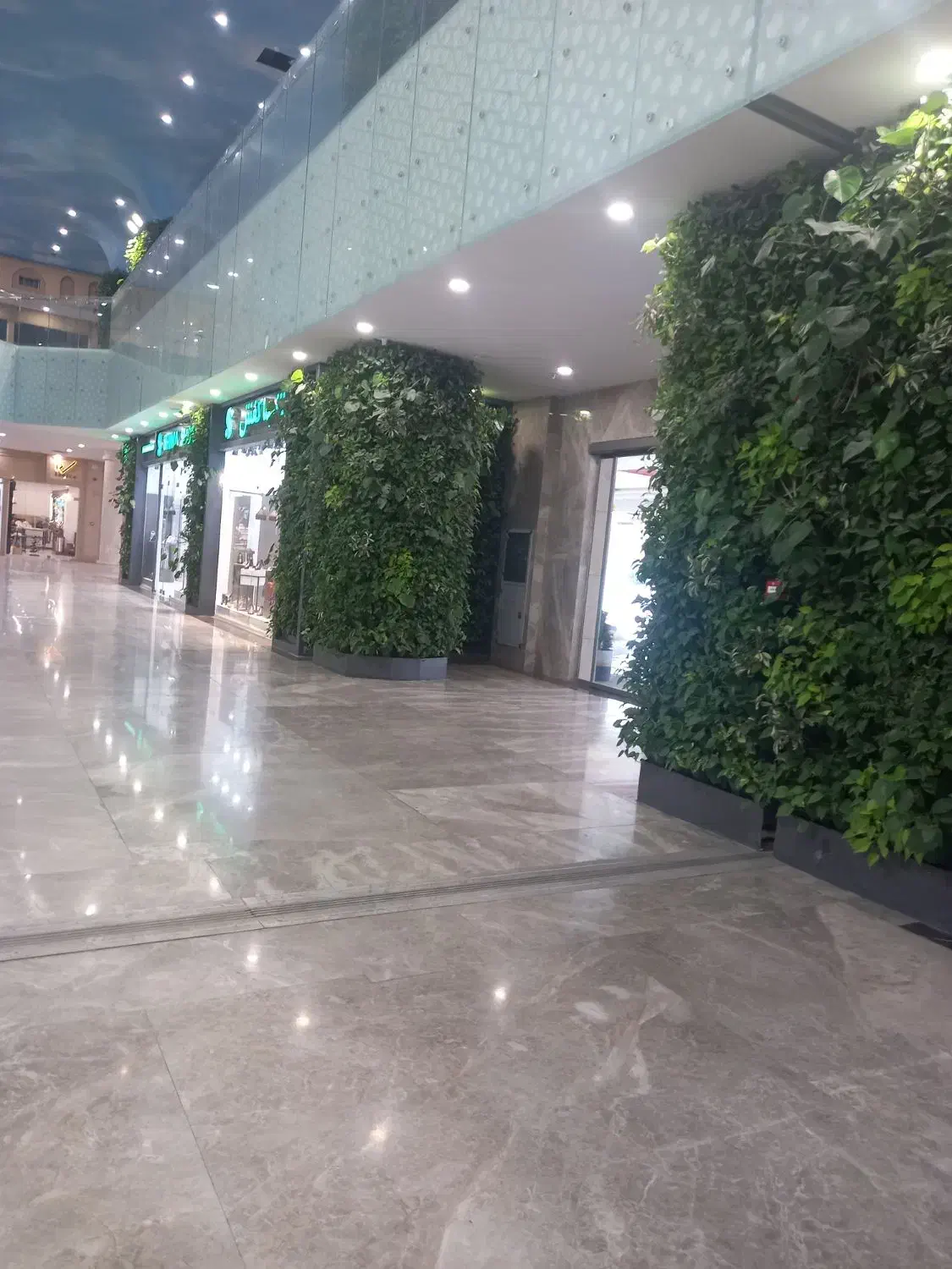 راهنمایی میخام|فعالیت داوطلبانه تحقیقاتی|بندرعباس, |دیوار