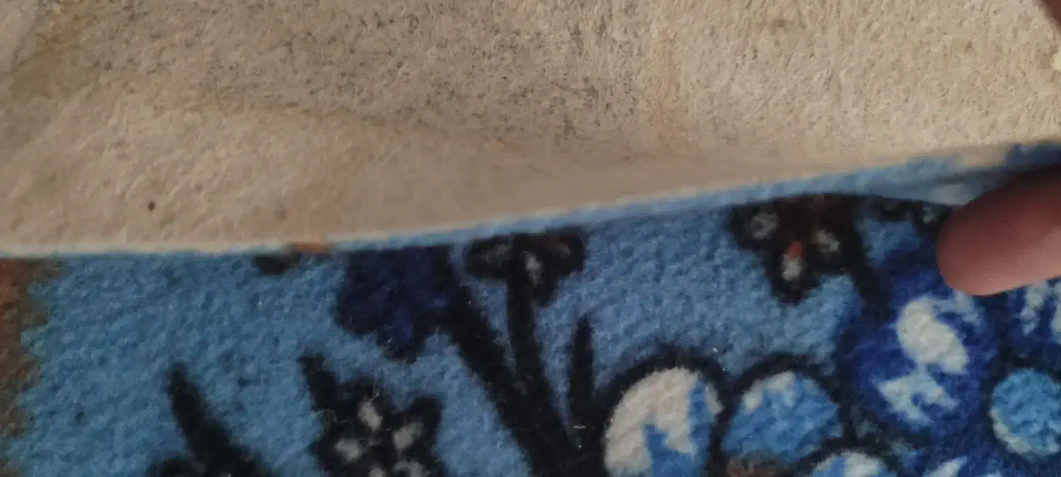 موکت ۹متری|موکت|پرند, فاز ۵|دیوار