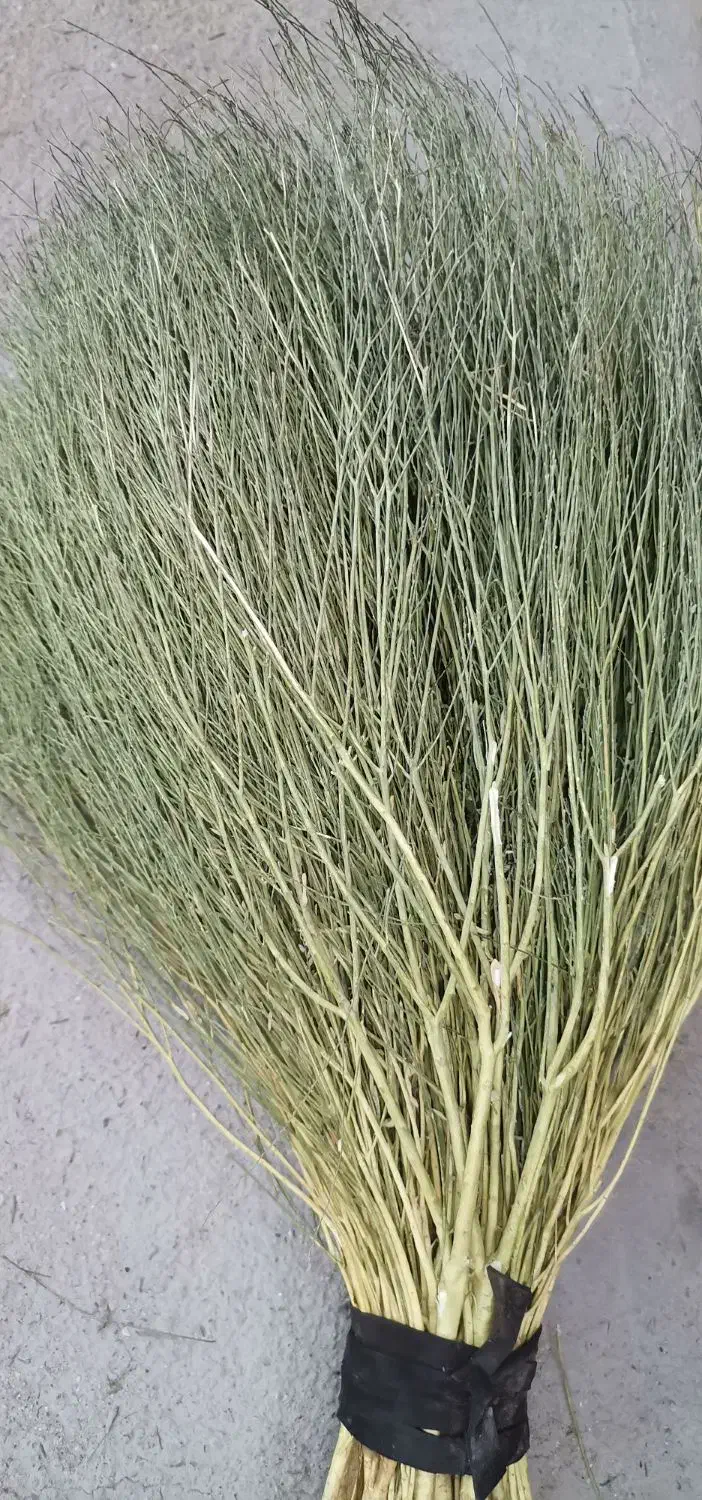 جاروی محلی|لوازم نظافت|نهاوند, |دیوار