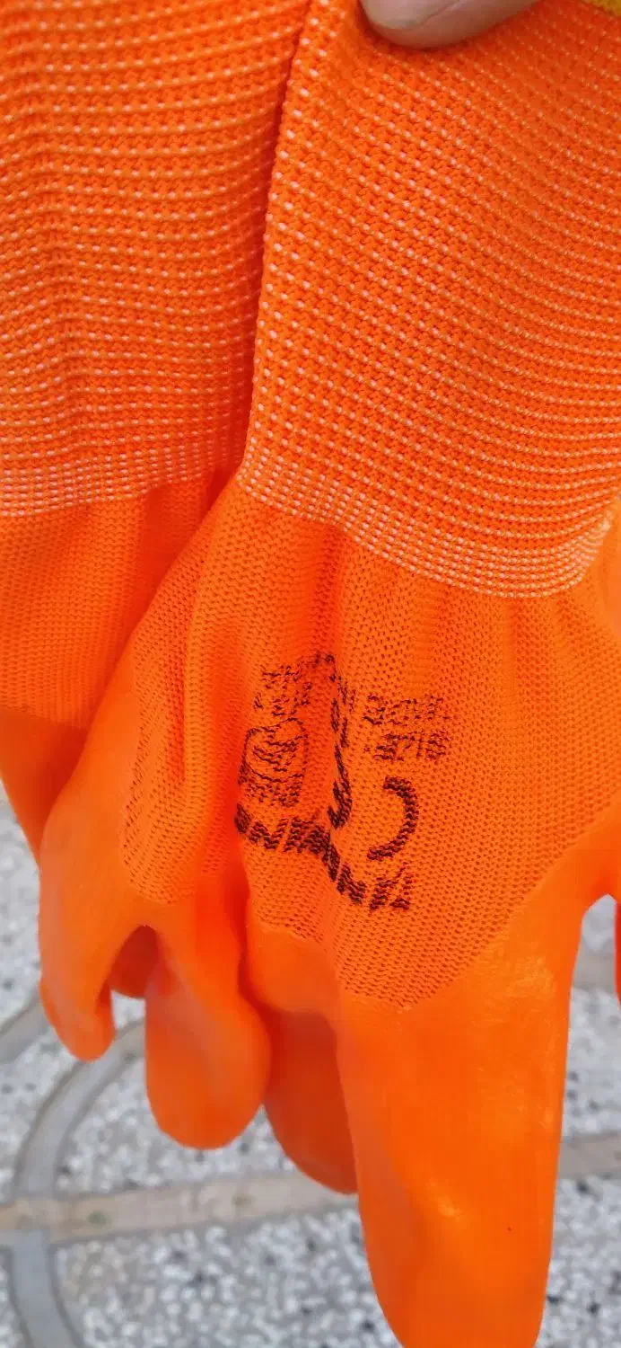 دستکش کار و زرشک چینی|لباس|بیرجند, |دیوار