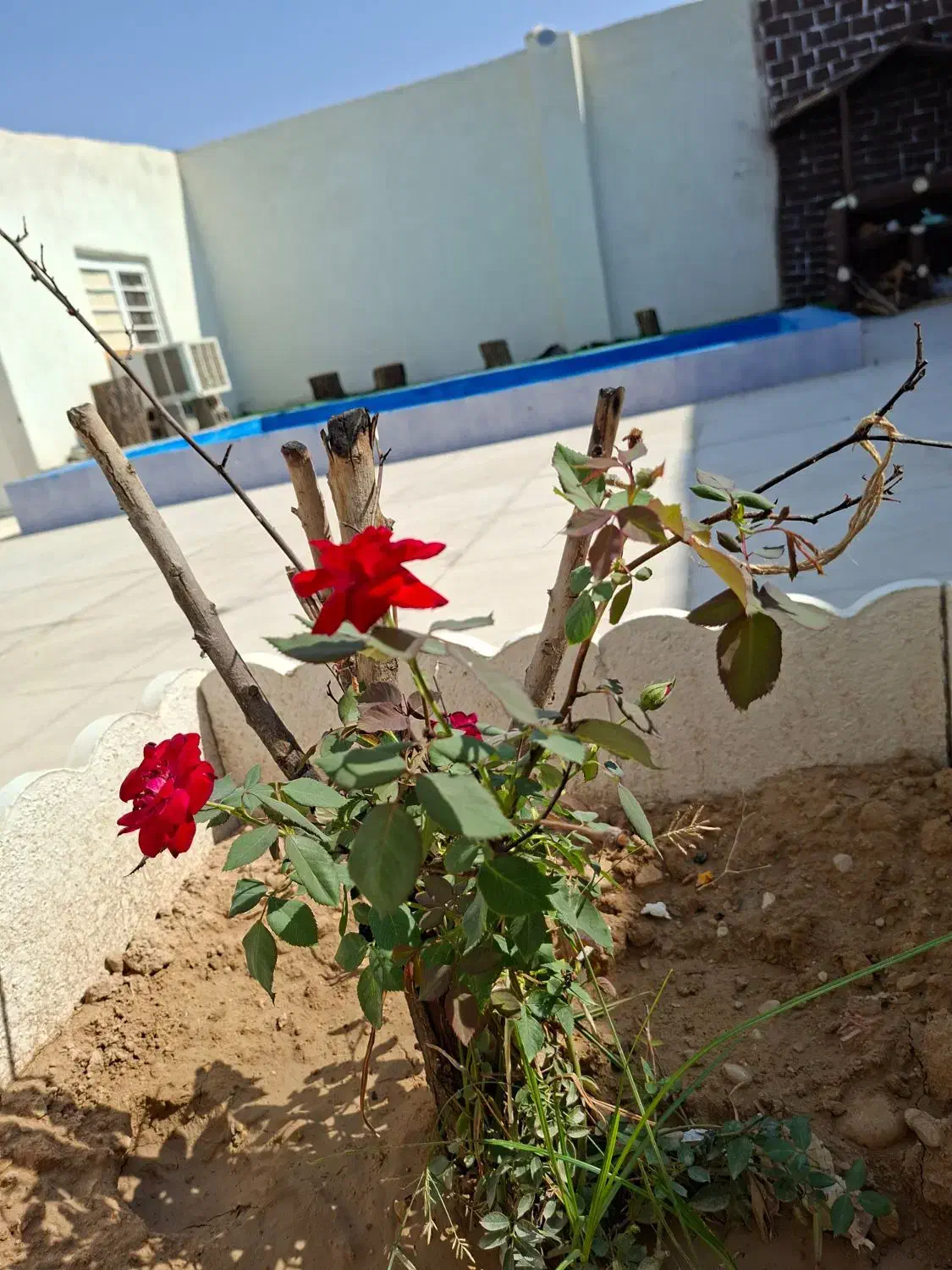 خونه باغ|فروش خانه و ویلا|برازجان, |دیوار