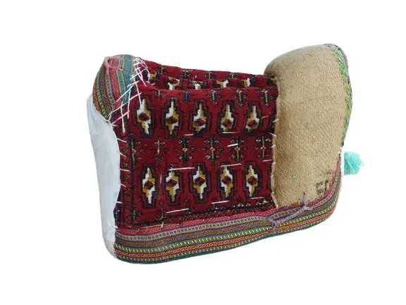 پالون اسب|اسب و تجهیزات اسبسواری|تولم شهر, |دیوار