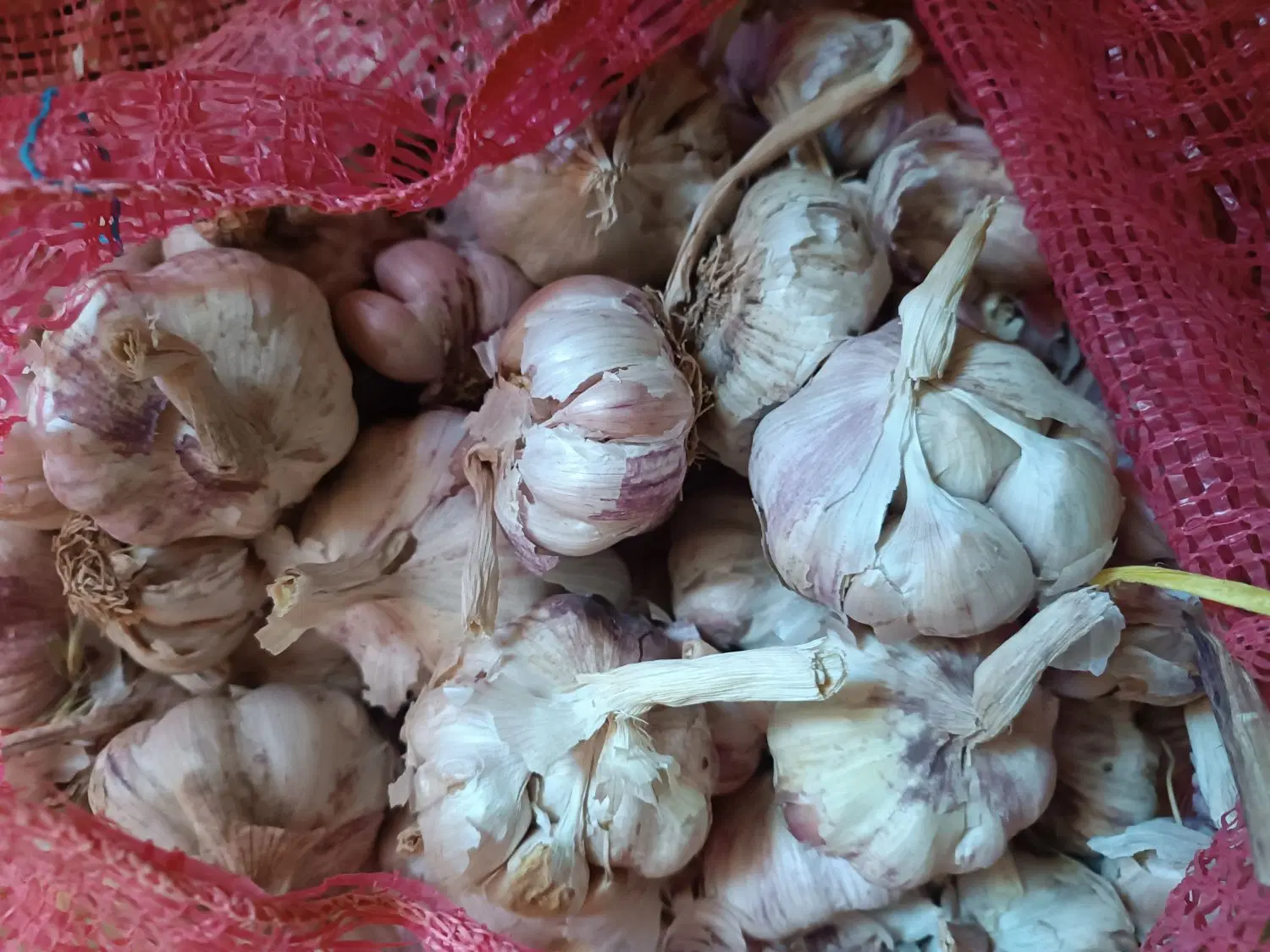 فروشی|خوردنی و آشامیدنی|لالجین, |دیوار