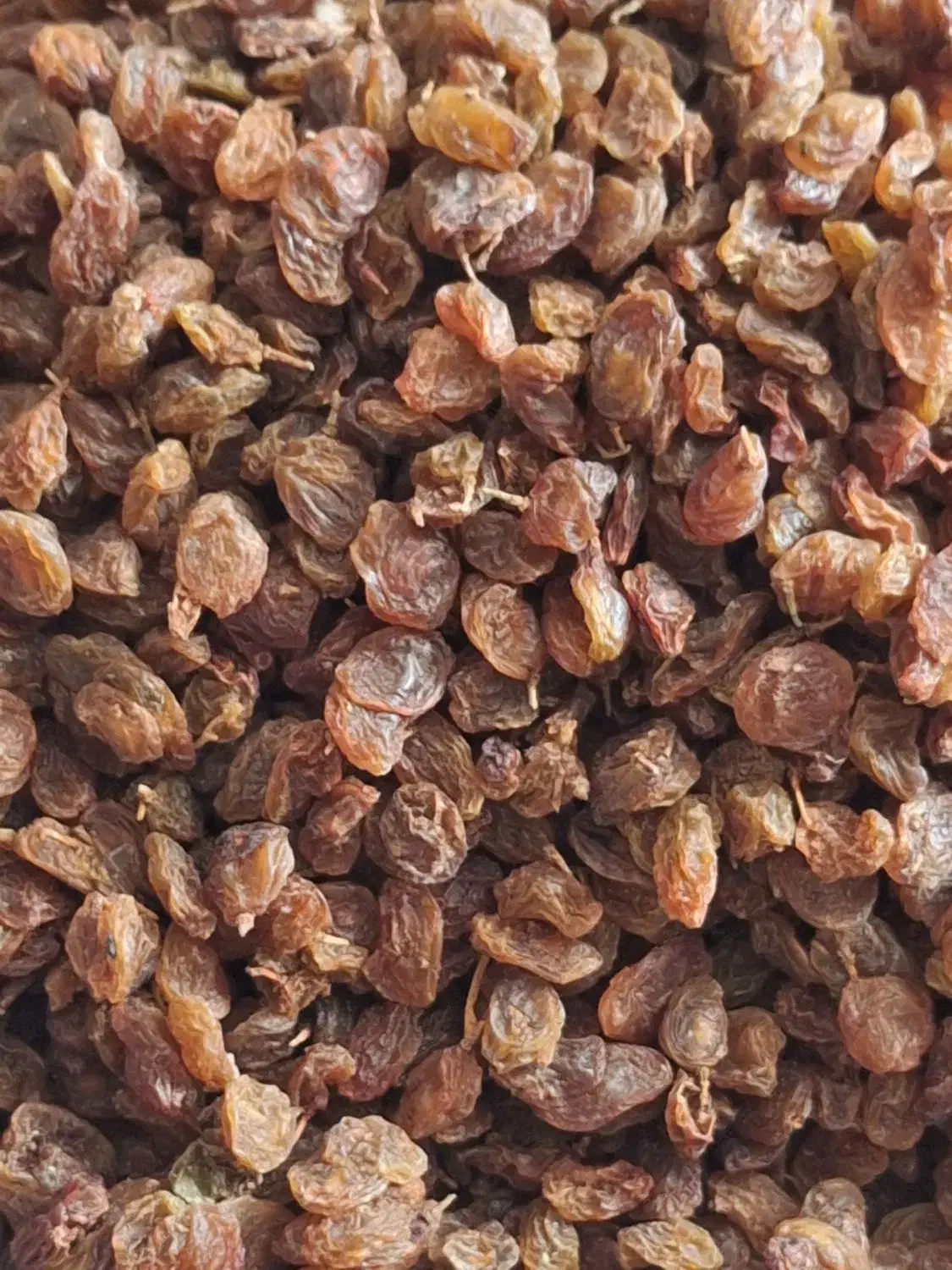 کشمش آفتابی|خوردنی و آشامیدنی|اصفهان, بابوکان|دیوار