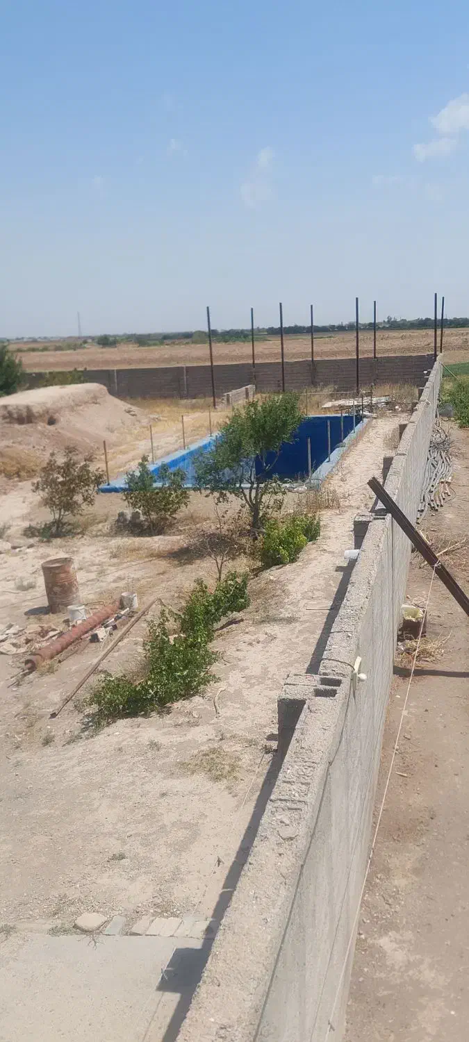 کشاورزی مزرعه ۲۱ هکتاری|فروش دفتر صنعتی، کشاورزی، تجاری|دشتابی, |دیوار