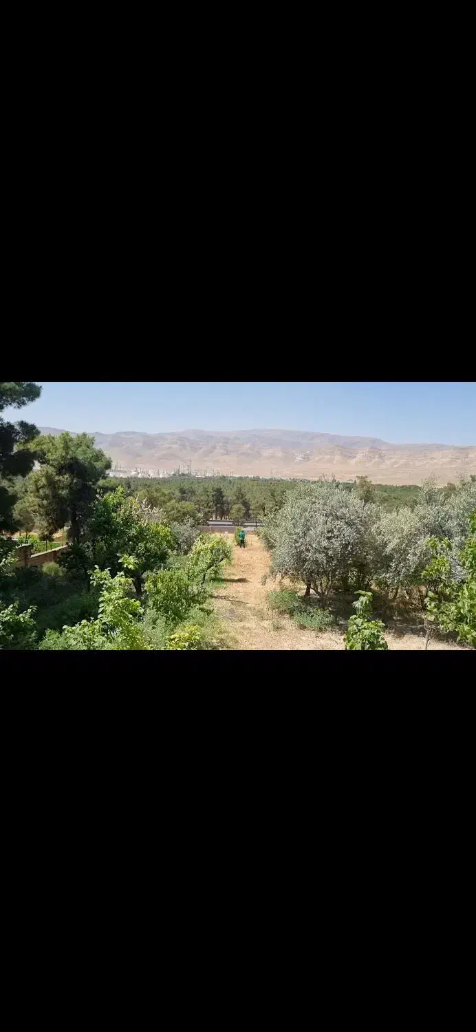 باغ برو اتوبان روبرو جنگل بمو|فروش دفتر صنعتی، کشاورزی، تجاری|زرقان, |دیوار